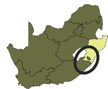 Rhino Money Loans (Pty) Ltd .